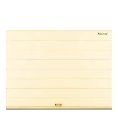 ДорХан Секционные ворота стальные 2900х2100 цвета RAL 1014 (бежевый) с дизайном 'широкая центральная полоса' с автоматикой